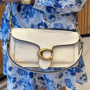 White and gold coach tabby 26